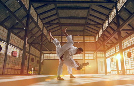 BJJ vs Japanese Jiu-Jitsu Effectiveness, Popularity & MMA Use