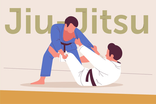 Basic Brazilian Jiu-Jitsu Positions The Complete Beginner’s Guide