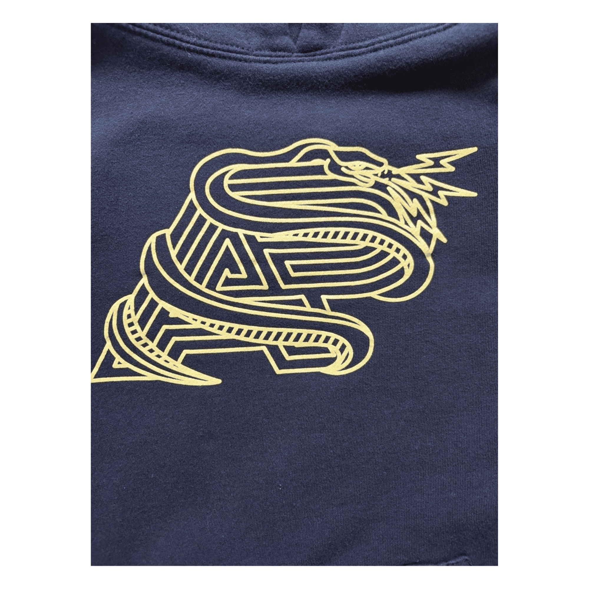 Albino & Preto A&P Snake Logo Hoodie Black Fleece Pullover